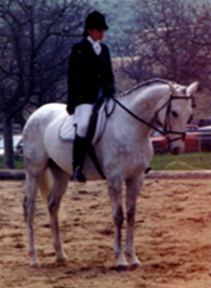 Equine artist Suzanne Nielsen on her beloved horse Sir Ivanhoe (Ivy)