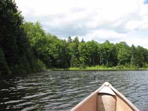 canoe2 view from the canoe on Knapp Pond 2