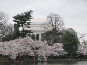 Jefferson Memorial The Jefferson Memorial in spring