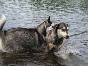 Waters Sports Jenny and Maya playing in the water