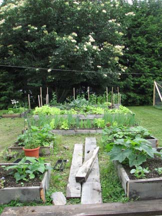 Garden1 garden
