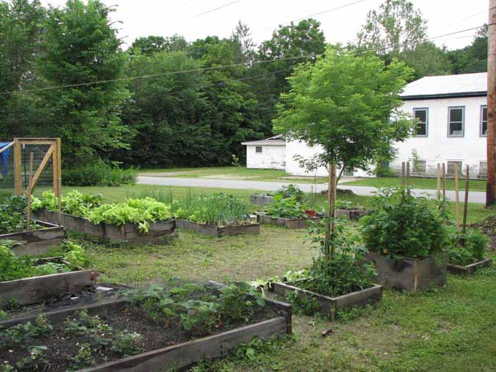 Garden5 garden