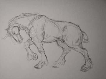 Pulling Draft Horse Sketch sketch: draft horse pulling