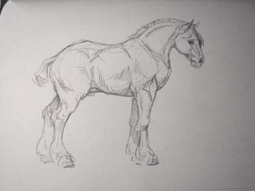 Draft Horse Side View Sketch sketch draft horse side view