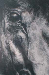 graphite-eye.jpg