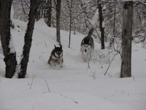 IMG_7865