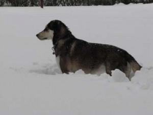 IMG_7916