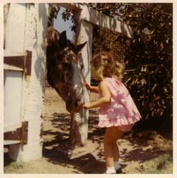 katyhorseblog
