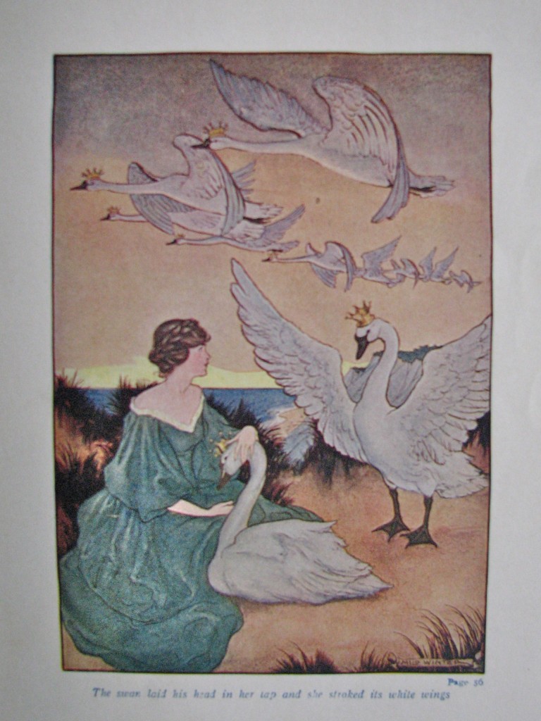 the wild swans