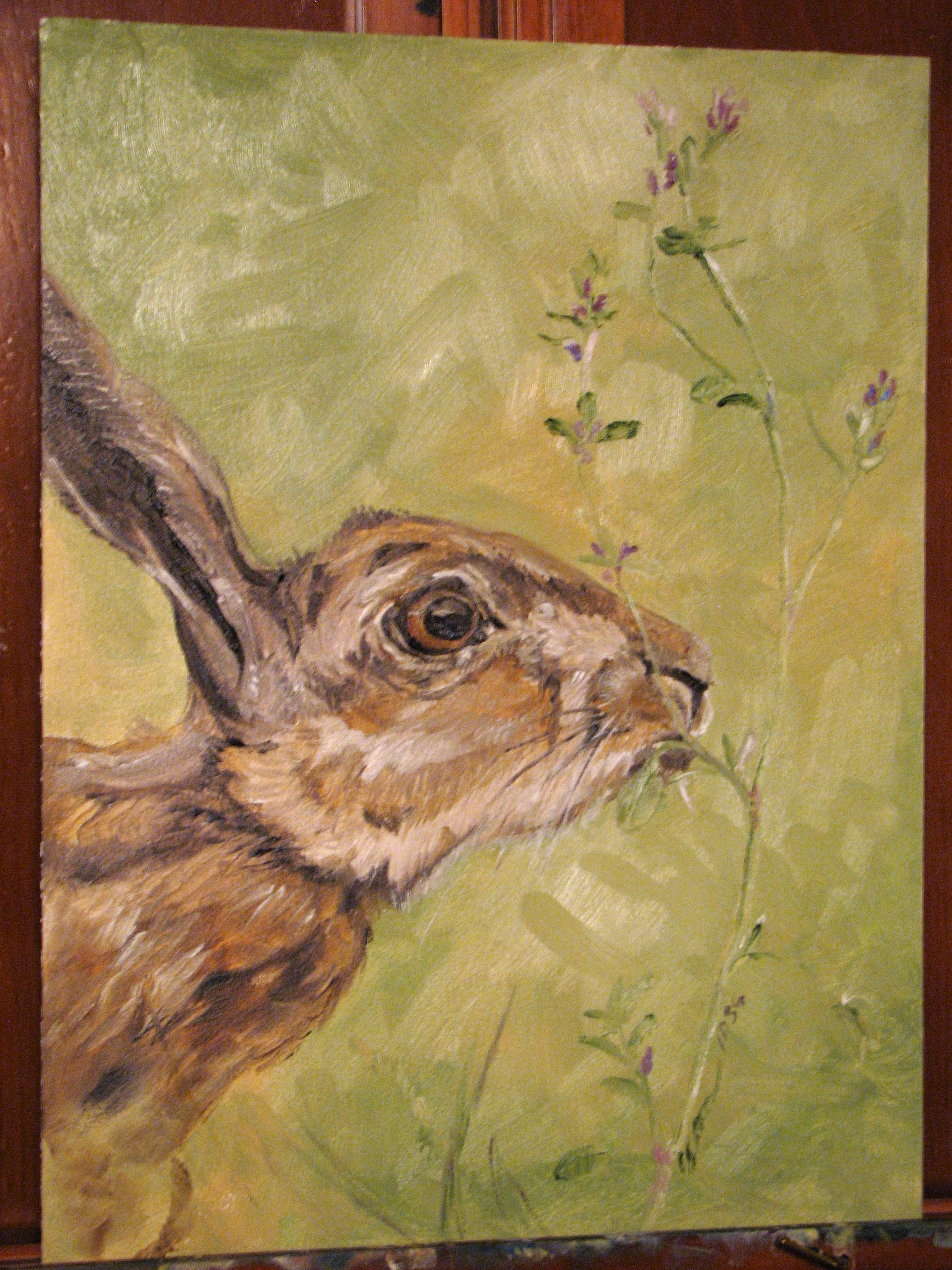 Hare