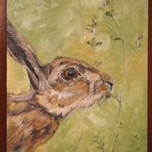 Hare