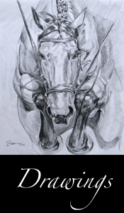 Link to Art Equine Drawings Gallery